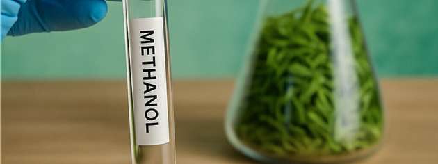 Ein neues Verfahren der FAU ermöglicht die Herstellung von Methanol direkt aus feuchter Biomasse – ohne energieintensive Vorbehandlung und mit Potenzial für dezentrale, nachhaltige Anlagen.