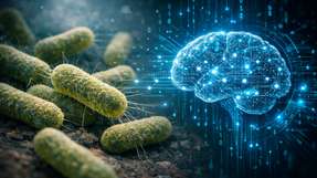 Das Projekt Guardian nutzt KI zum Kampf gegen resistente Bakterien.