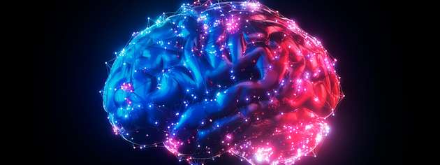 Forschende der Cornell University demonstrieren mit dem MOTE‑Implantat, dass neuronale Aktivität selbst mit extrem miniaturisierten optoelektronischen Systemen über ein Jahr hinweg stabil und gewebeschonend erfasst und drahtlos übertragen werden kann.