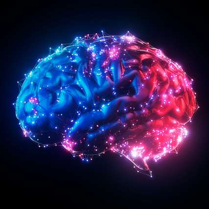 Forschende der Cornell University demonstrieren mit dem MOTE‑Implantat, dass neuronale Aktivität selbst mit extrem miniaturisierten optoelektronischen Systemen über ein Jahr hinweg stabil und gewebeschonend erfasst und drahtlos übertragen werden kann.