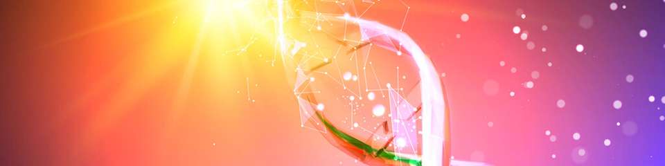 DNA ist das dichteste und beständigste Informationsspeichermedium der Natur: Nur ein Gramm kann potenziell bis zu Hunderte Petabyte an digitalen Daten kodieren.