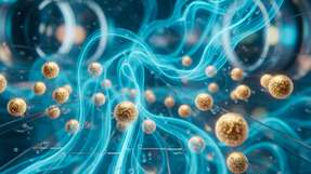 Reinforcement Learning steuert synthetische Mikroschwimmer durch komplexe Strömungsfelder: Die Partikel nutzen ihre eigene Bewegungsdynamik als Informationsquelle („verkörperte Intelligenz“) – ein Ansatz für autonome Mikrosysteme ohne miniaturisierte Sensorik.