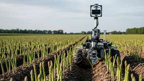 Ein Roboterprototyp der Technischen Universität München (TUM) verarbeitet Kamerabilder, um reifen grünen Spargel zu erkennen und zu lokalisieren – Grundlage für eine schnellere, effizientere Automatisierung der Spargelernte.