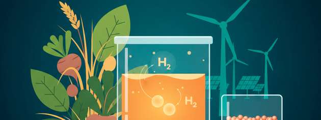 Biogene LOHC sollen Wasserstoff ähnlich wie flüssige Kraftstoffe speicher- und transportierbar machen. Trägermoleküle aus Pflanzenresten binden Wasserstoff und geben ihn wieder ab. Laut Forschungshinweisen erfolgt dies teils mit Kupfer statt teurer Edelmetallkatalysatoren und bei niedrigeren Temperaturen.