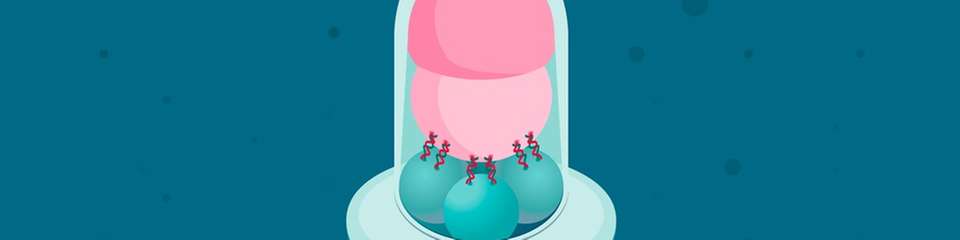 Illustration des vielseitig einsetzbaren Nanoroboters. Er ist 150-mal kleiner als der Durchmesser eines menschlichen Haars.