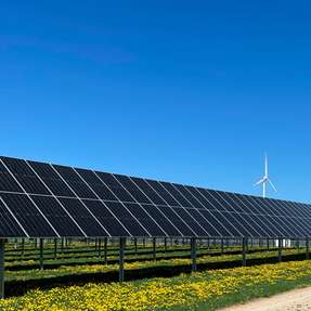Die neuen Photovoltaik-Projekte von Wpd liefern grünen Strom und verbinden CO2-freie Energieerzeugung mit landwirtschaftlicher Nutzung.