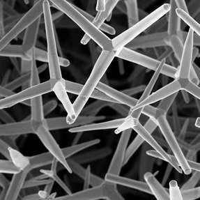 Rasterelektronenaufnahme: Ausgangsstruktur des Materials – winzige Zinkoxid-Tetrapoden, überzogen mit einer nanometerdünnen Schicht aus Graphen.