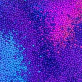 Im Zentrum des Bereichs biobasierte Materialien steht Caramid, ein neues, vollständig biobasiertes Hochleistungspolyamid. 