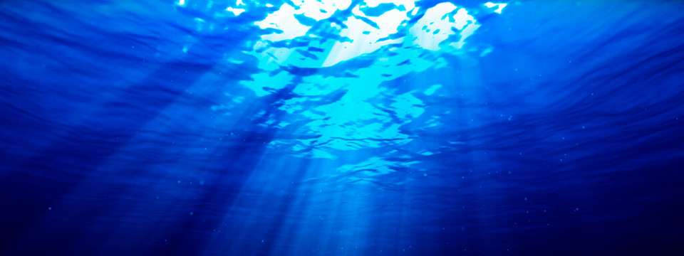 Im Kohlendioxid-Speicherungsgesetz, das Anfang August 2025 vom Kabinett beschlossen wurde, ist auch die besondere Schonung von Meeresschutzgebieten geregelt.