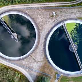 Ammonium ist giftig für Fische, befeuert Algenblüten und entzieht Gewässern Sauerstoff. Ab 2027 müssen Kläranlagen deutlich mehr davon entfernen. Ein Team aus Ulm geht noch einen Schritt weiter.