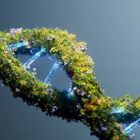 An globalen Standorten zeigen nachhaltige Projekte, wie technische Investitionen und verändertes Verhalten gemeinsam zur Dekarbonisierung beitragen können.