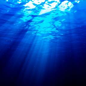 Im Kohlendioxid-Speicherungsgesetz, das Anfang August 2025 vom Kabinett beschlossen wurde, ist auch die besondere Schonung von Meeresschutzgebieten geregelt.