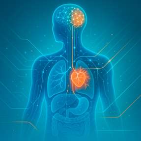 Das KI-Modell von EMBL, DKFZ und der Universität Kopenhagen analysiert individuelle Krankheitsverläufe und prognostiziert langfristige Gesundheitsrisiken über einen Zeitraum von zehn Jahren.