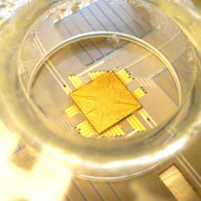 Der MAGIC-Quantenprozessor von eleQtron verwendet Mikrowellen, was zu weniger Kühlung und geringerem Stromverbrauch führt.