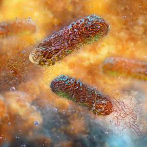 Ein neues 3D-Modell zeigt, wie Pseudomonas aeruginosa unter Strömungsbedingungen Biofilme bildet, umbaut und sich auf neue Oberflächen ausbreitet.