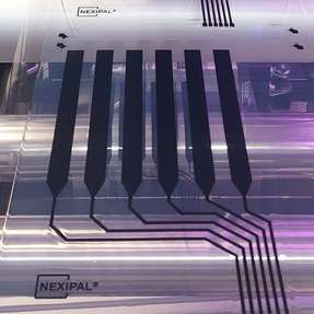 Wacker zeigt auf der Kunststoffmesse K 2025 elektroaktive Siliconlaminate der Marke NEXIPAL Sense. Druck- oder Dehnbewegungen erzeugen unterschiedliche Spannungszustände, die präzise Sensorsignale für Anwendungen in der Medizintechnik, Robotik oder im Sportbereich liefern.