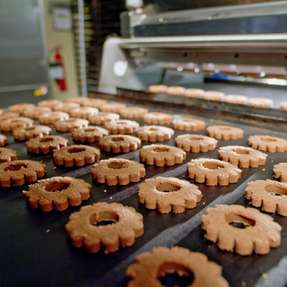 Steigende Kosten, Fachkräftemangel und Nachhaltigkeitsdruck zwingen die Lebensmittelindustrie zum Umdenken – Automatisierung, Digitalisierung und smarte Verpackungslösungen werden zu zentralen Erfolgsfaktoren für die Produktion der Zukunft.