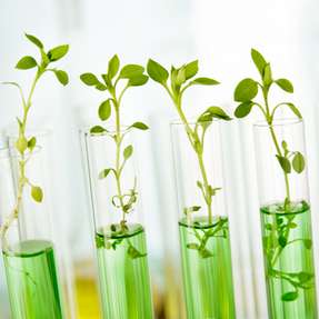 Ein neu entwickeltes bimetallisches Katalysatorsystem ermöglicht, das Klimagas CO2 gemeinsam mit grünem Wasserstoff als Rohstoff für die Herstellung industriell wichtiger Chemikalien zu nutzen.